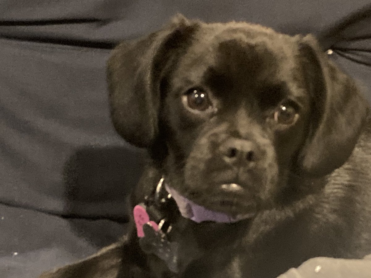 tjweastfalls's tweet photo. Welcome to the world Maggie May https://t.co/lOgozJvyDd