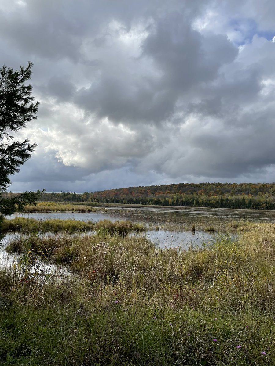 AsterixMonck's tweet photo. A beautiful day with my family in the #Autumn air at the Bognor Marsh Trail #lifeisgood https://t.co/XUu3RmTOEN