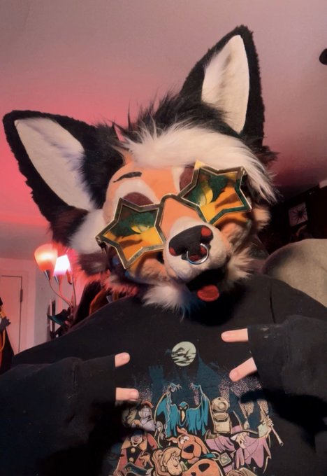 🦊⭐️ Bwomp https://t.co/ei2rHdttJy<a href="/tag/fursuitfriday"class="tags"><span>#fursuitfriday</span></a>