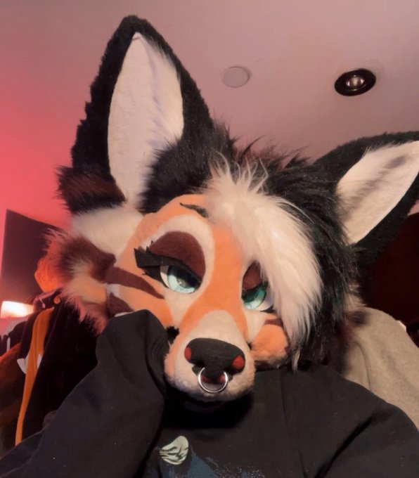 🦊⭐️ Bwomp https://t.co/ei2rHdttJy<a href="/tag/fursuitfriday"class="tags"><span>#fursuitfriday</span></a>