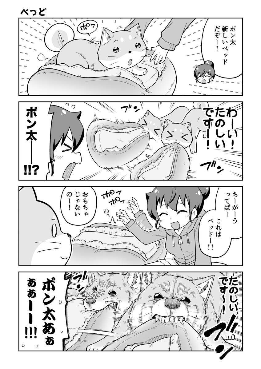 最近かなり肌寒くなってきましたねー。 というワケで新しいベッドをポン太にプレゼントなマンガ! #ごすじん大好きポン太の憂鬱 #漫画が読めるハッシュタグ