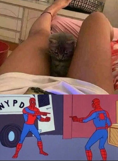 reesan's tweet image. 