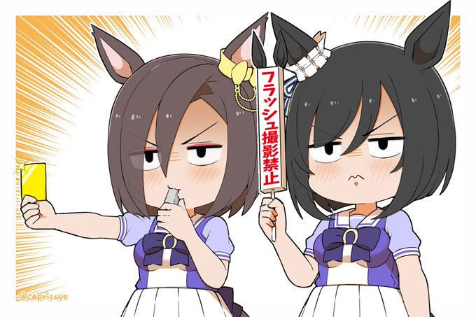 フラッシュ撮影はお控えください 