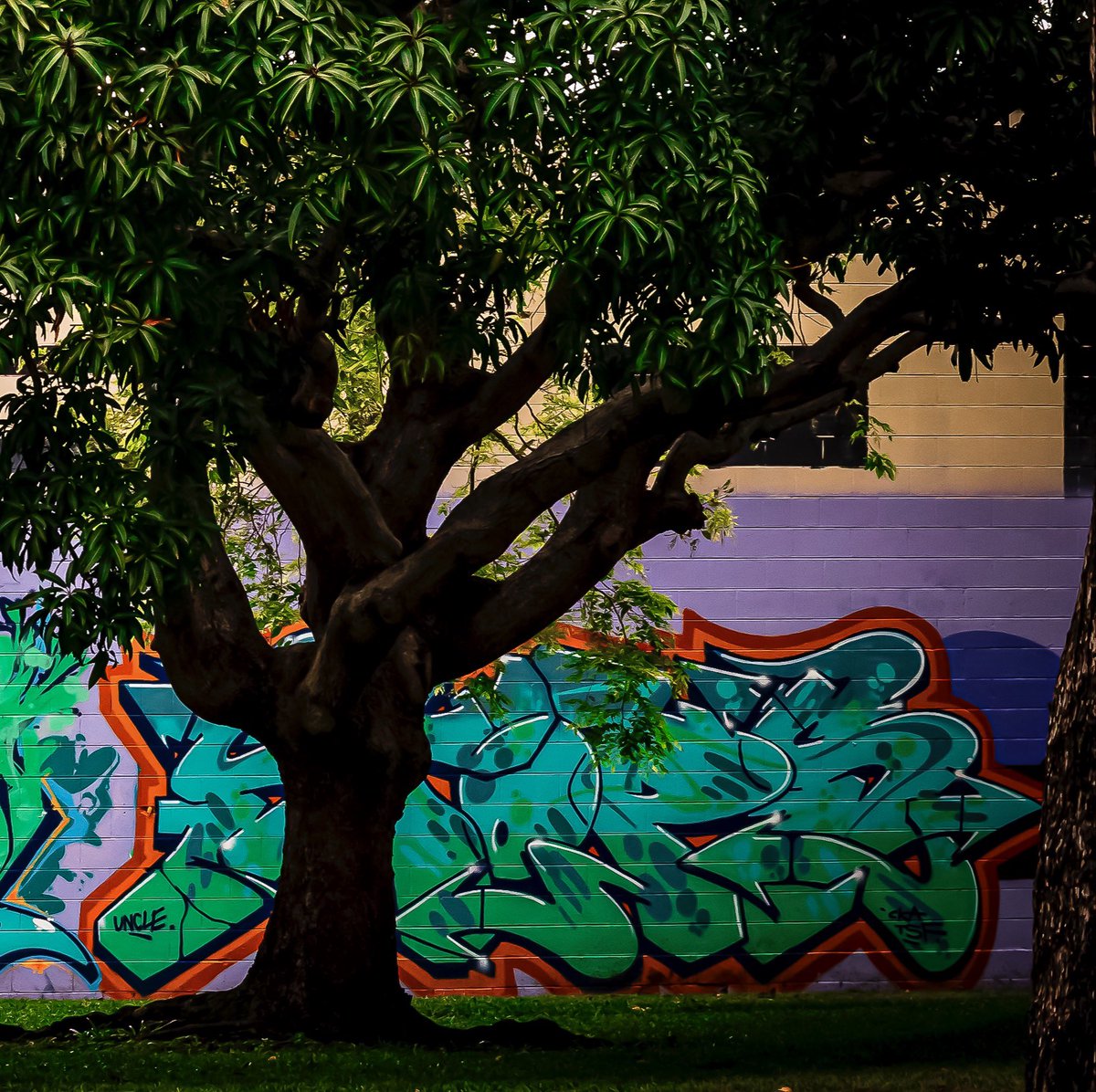 #graffitiart #streetartphotography
