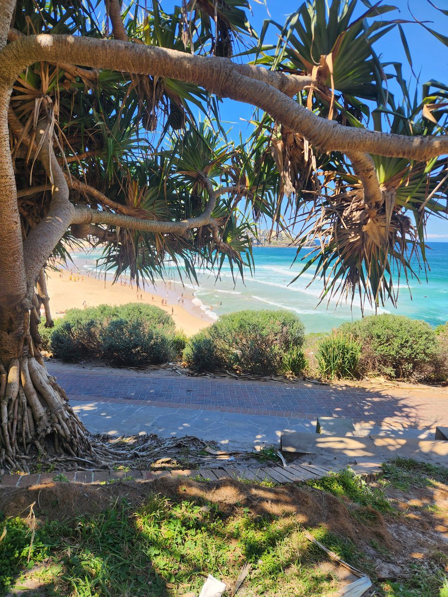 Bondi. 🙏
