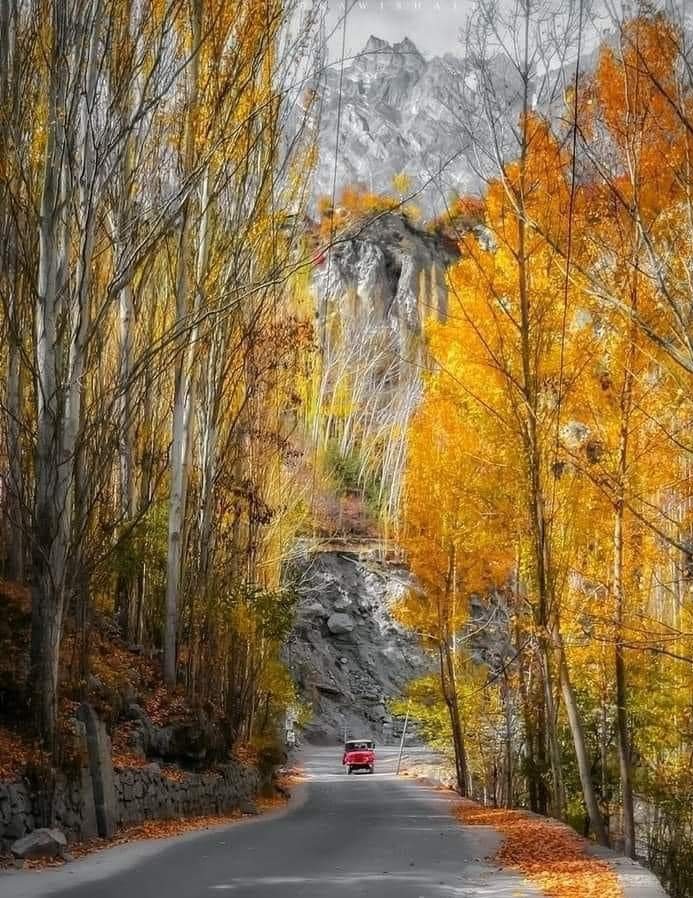 MajesticPak's tweet photo. Autumn 🍂 in Hunza, Gilgit Baltistan 
#BeautifulPakistan #Nature #MajesticPakistan https://t.co/0E0CM1NFvj