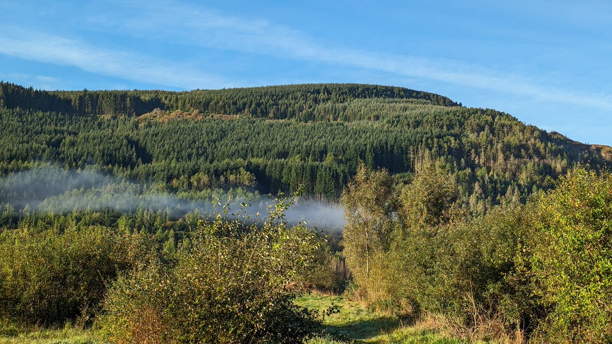 lee williams tweet media