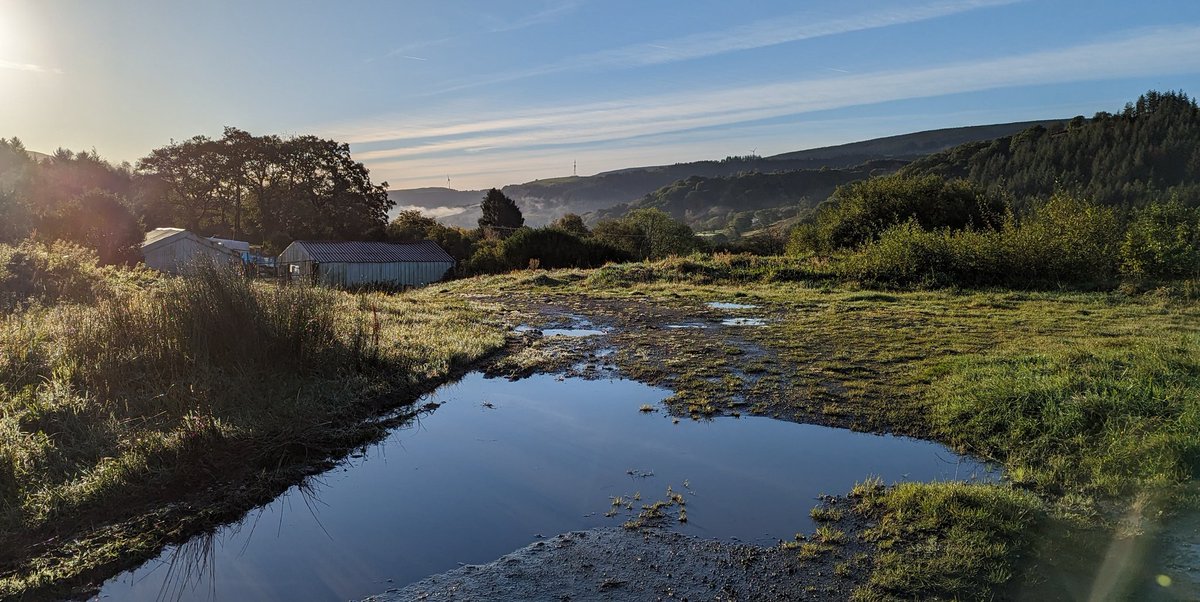 lee williams tweet media