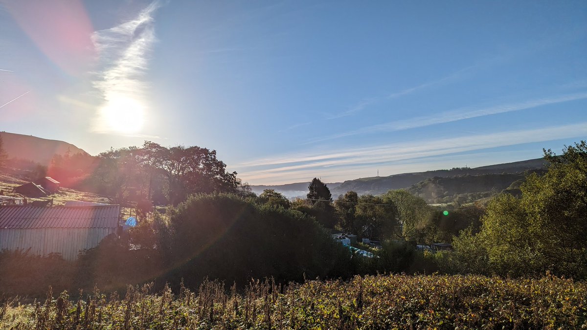 lee williams tweet media