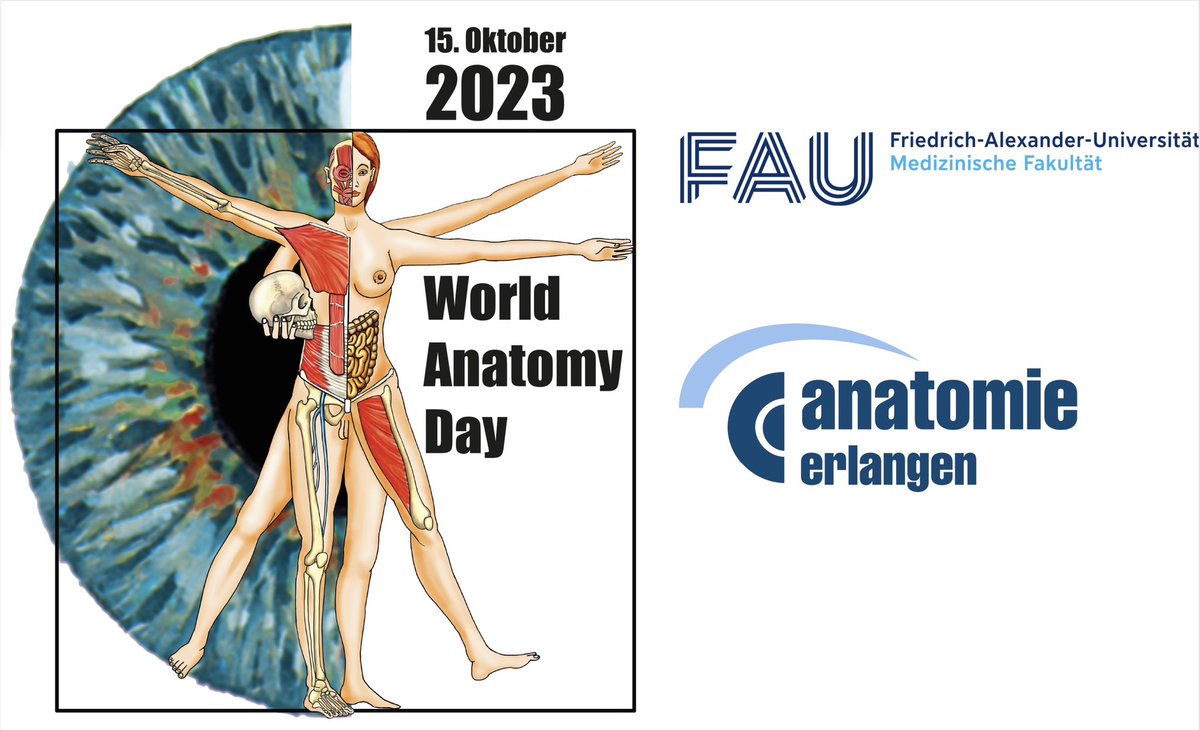 Like everywhere else in the world, today we are also celebrating WORLD ANATOMY DAY at our FAU under the motto "Teaching diversity in the dissection laboratory". An excellent education in anatomy is the basis for every medical and medicine-associated subject in the world.