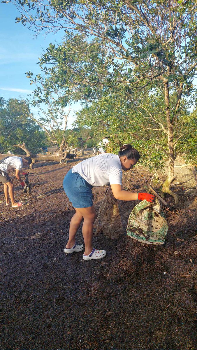 Mangrove Clean Up🌱💚
@beach_token @Jaijaikho

#ProtectOurMangroves #MangroveBiodiversity #MangroveRestoration #BeachCollective

Check out our #BeachAction here ↙️
beachcollective.io/share/1810/