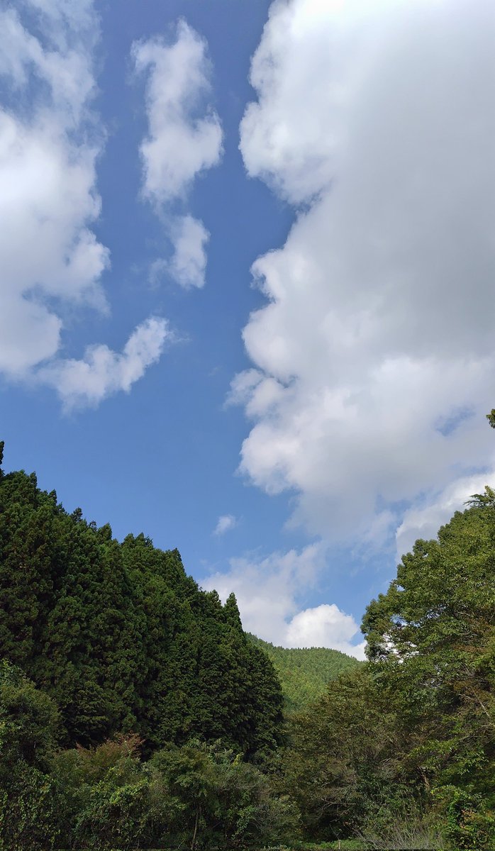 akechage's tweet image. 雨上りで、
頂上はガスってました
けど、晴れ☀
行きと帰りのシュワッチ！

#青い空だけじゃない
#Chagelivetour2023
#WINDYROAD
#Chage
#theSoul