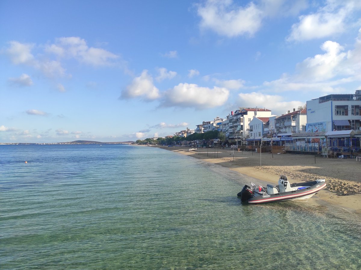 murat_bal_'s tweet photo. #avsa #avsaadasi #avşa #avşaadası #island #kesfet #instagood #keşfet #aniyakala #balikesir #gununfotografi #sun #sea #summer #travel #island #paradise #travelgram #world #nature #photo #photography #seaside #sealife #seagram #summerlife #paradiselife #cats #cat #animals https://t.co/Cl9PTBV0FS