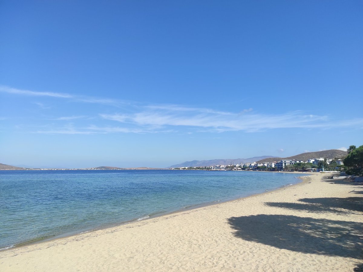 murat_bal_'s tweet photo. #avsa #avsaadasi #avşa #avşaadası #island #kesfet #instagood #keşfet #aniyakala #balikesir #gununfotografi #sun #sea #summer #travel #island #paradise #travelgram #world #nature #photo #photography #seaside #sealife #seagram #summerlife #paradiselife #cats #cat #animals https://t.co/CReUEmMHt2