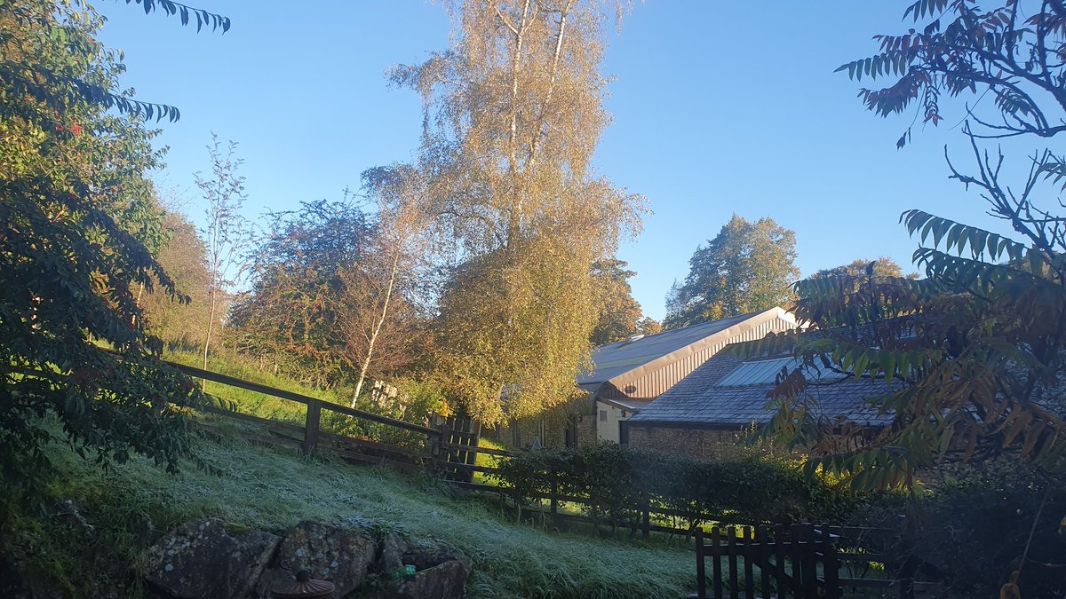 Neil Wharton tweet media