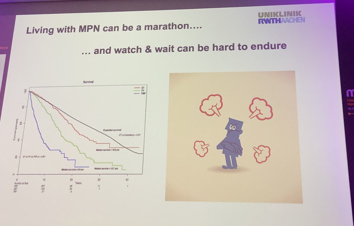 ktourmente's tweet photo. Mon coup de ❤️ de cette matinée…
#MPNHZ23 #mpnsm https://t.co/l0AYUDYb2r