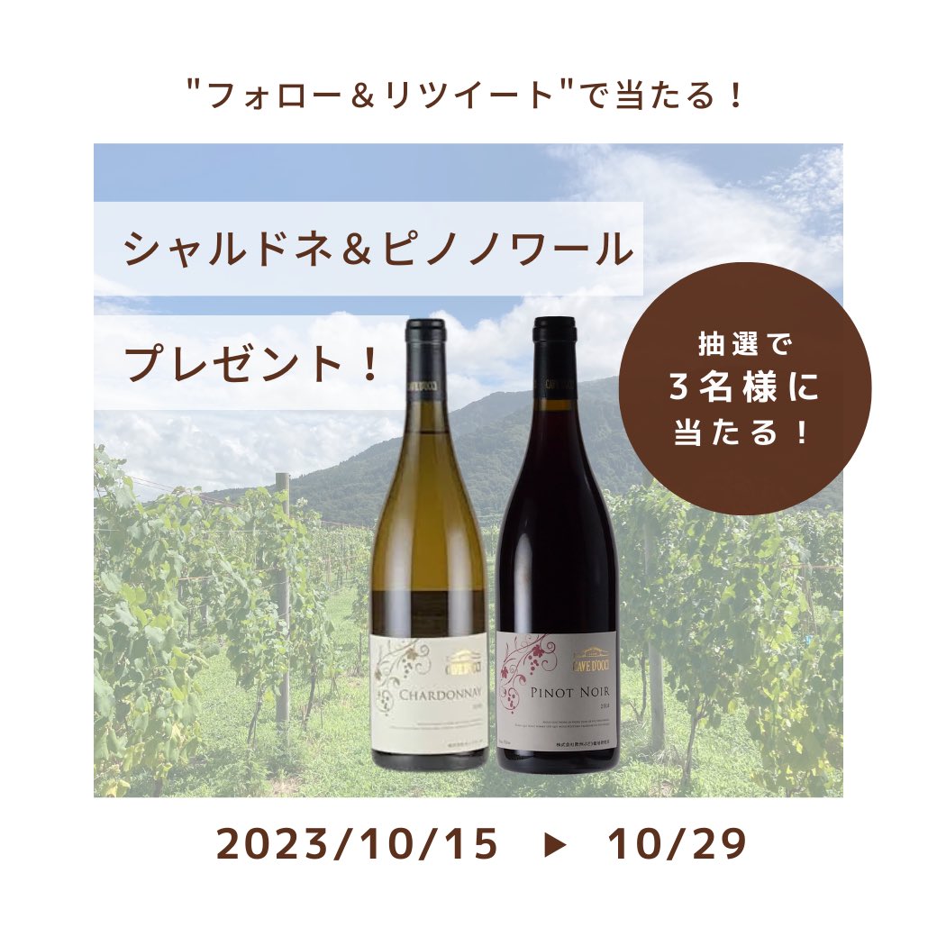 cavedocci_wine's tweet photo. ＼ #カーブドッチ感謝を込めて30周年キャンペーン ／

10月の #プレゼント はコチラ↓↓

【 樽由来の風味感じる『シャルドネ』と、華やか妖艶とさえ評��れる香りの『ピノノワール』！食欲の秋、贅沢なひと時を彩るのにオススメのワインです🍷✨】

フォロー&amp;RTで応募完了!
@cavedocci_wine

10/29まで https://t.co/fJw1CERcNo
