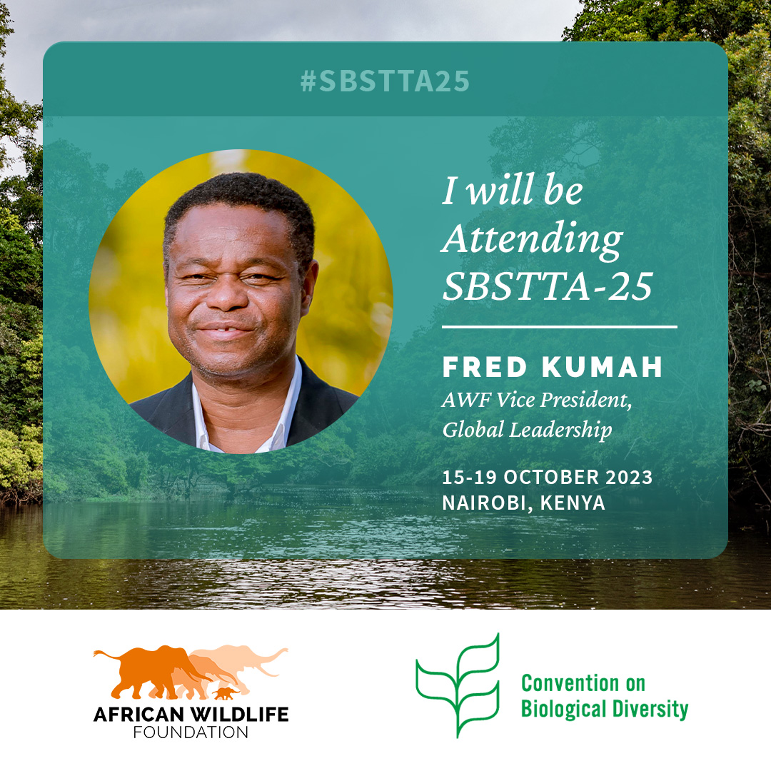 I look forward to being part of this #scientific review process and global stock-take as we address how the Kunming Montreal #GBF can provide #sustainable solutions across multiple global challenges. The world needs to pay attention for us to move from paper to action #SBSTTA25