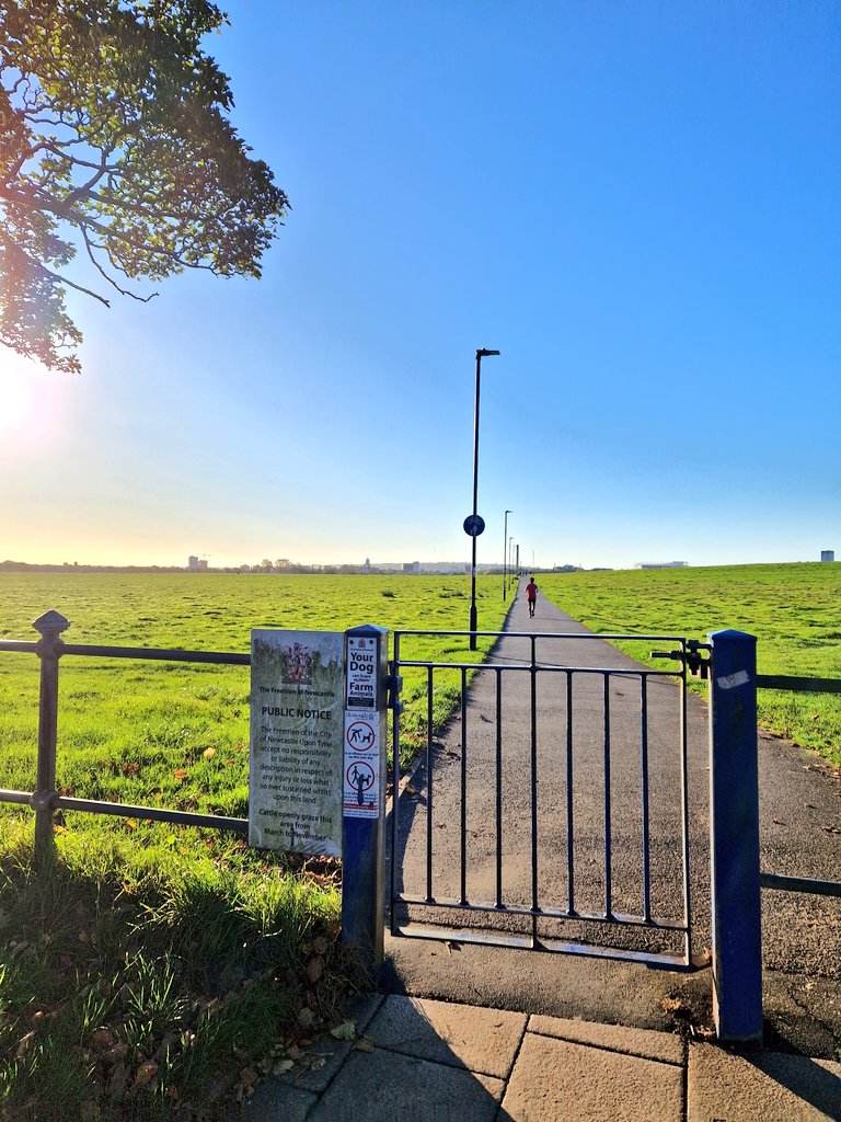 The Sunday view:

Man vs Moor.

Up early to take advantage of a beautiful autumnal morning in Toon for five-mile manoeuvres.

It's grim up north...