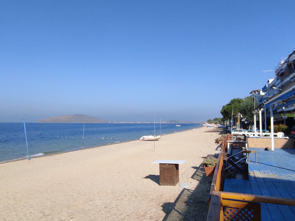 murat_bal_'s tweet photo. #avsa #avsaadasi #avşa #avşaadası #island #kesfet #instagood #keşfet #aniyakala #balikesir #gununfotografi #sun #sea #summer #travel #island #paradise #travelgram #world #nature #photo #photography #seaside #sealife #seagram #summerlife #paradiselife #cats #cat #animals https://t.co/jyKj48IId6