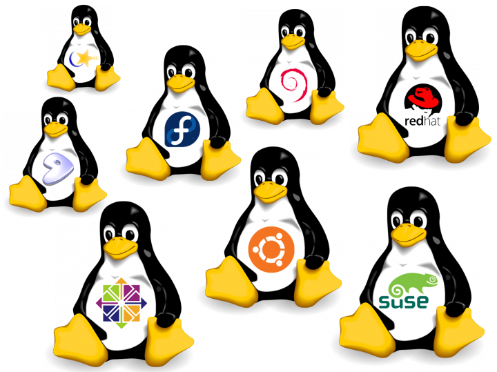 LJaunaux's tweet image. J&apos;ai plusieurs PC... Sur 2 d&apos;entre eux j&apos;ai des distributions #Linux, une #LinuxMint et une autre #UbuntuServer. LinuxMint pour gérer mon quotidien (bureautique et surtout internet) et Ubuntu Server pour gérer mon réseau.
Quelle est la distribution que vous utilisez et pourquoi ?…