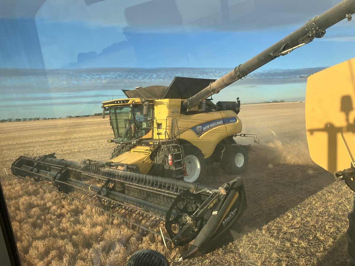 nick correll tweet media