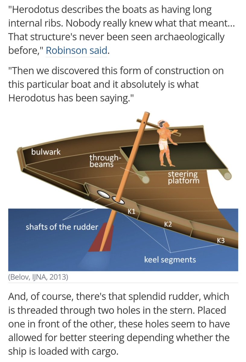 Nobody believed Herodotus when he described the gold-digging ants