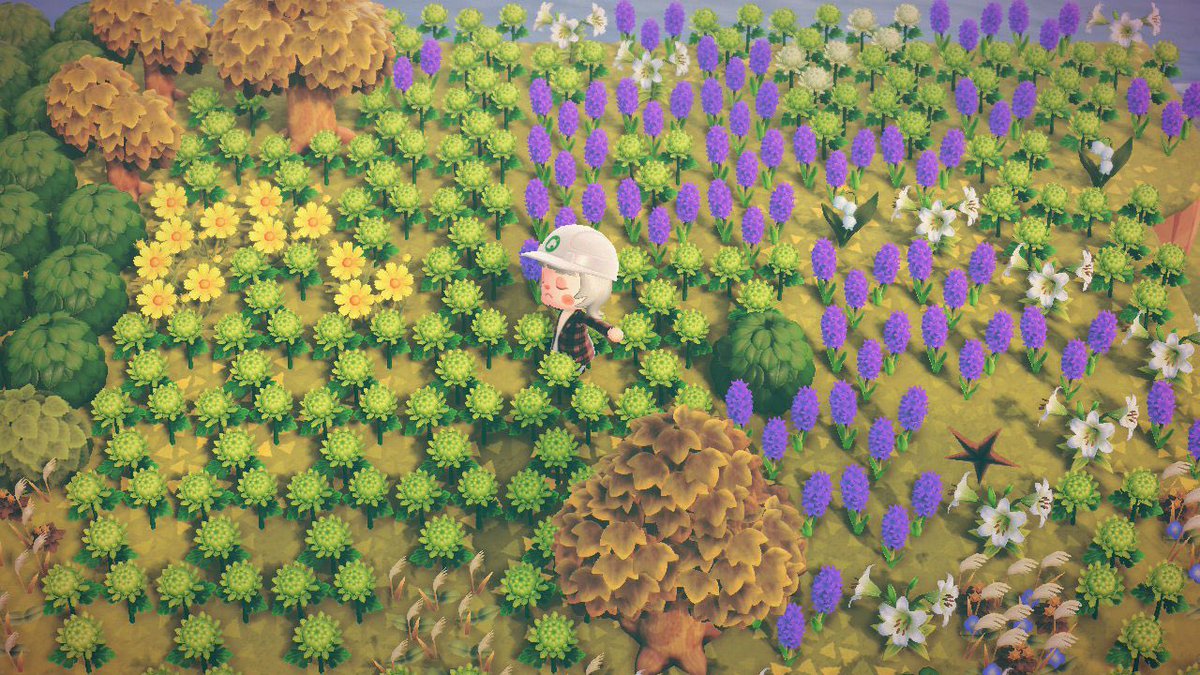 S_tatao's tweet photo. 無造作？に放置されてる花たちを片付けるのがめんどくさい🫶🏻💜 ̖́- https://t.co/2XAyULpel9