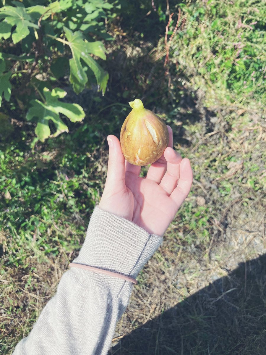 ご一緒いただいたみなさまありがとうございました。
2023年春のはじまり「しばらくお休みを、」としていたOPUS。研究会をとおして出会えた方々やこれまでも共にしてきたみんなと、長い旅路が始まりそうです。2024年10月。秋と冬のあわい。
こころのどこか隅の方、そっとお待ちいただけると嬉しいです。