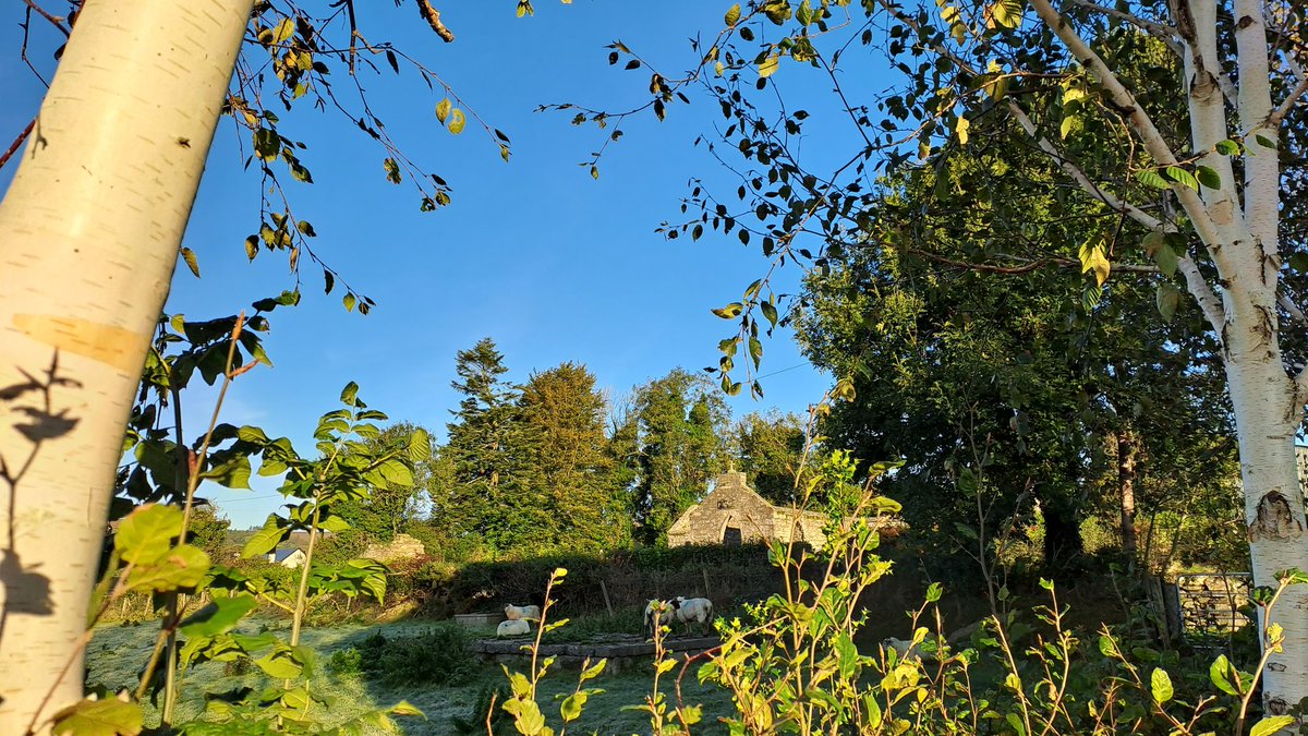 MacreddinRock's tweet photo. Beautiful frosty morning in Macreddin https://t.co/77vGs9ifwM