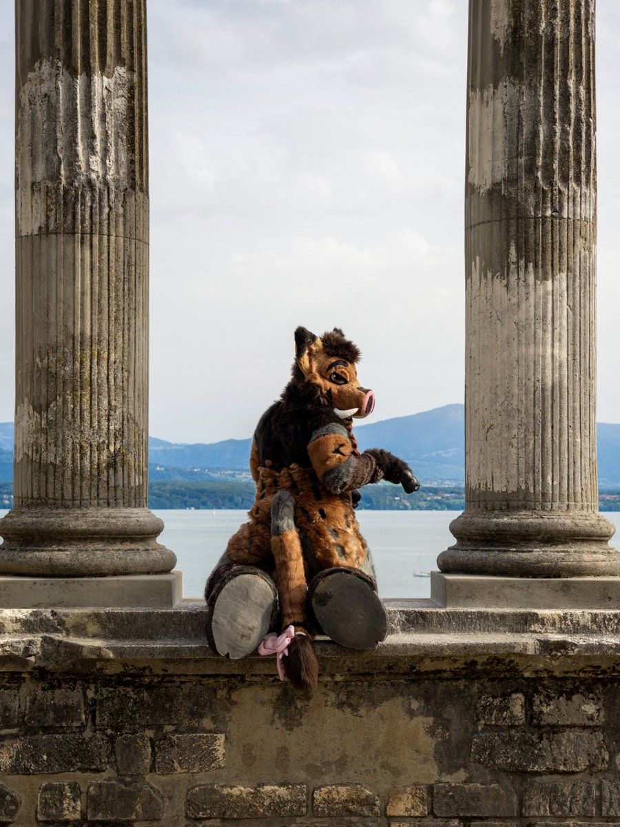 Freya_Mommy's tweet photo. I am a Roman now ! 🐽

Bring me my sword and fight me GRUIK .

#sundayfursuit
#FursuitEveryday
#fursuit

📸: @RhinoVoki https://t.co/TVGT6lqcB3
