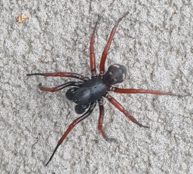 Andrew (Drew) Christian tweet media