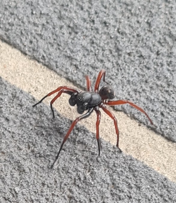 Andrew (Drew) Christian tweet media