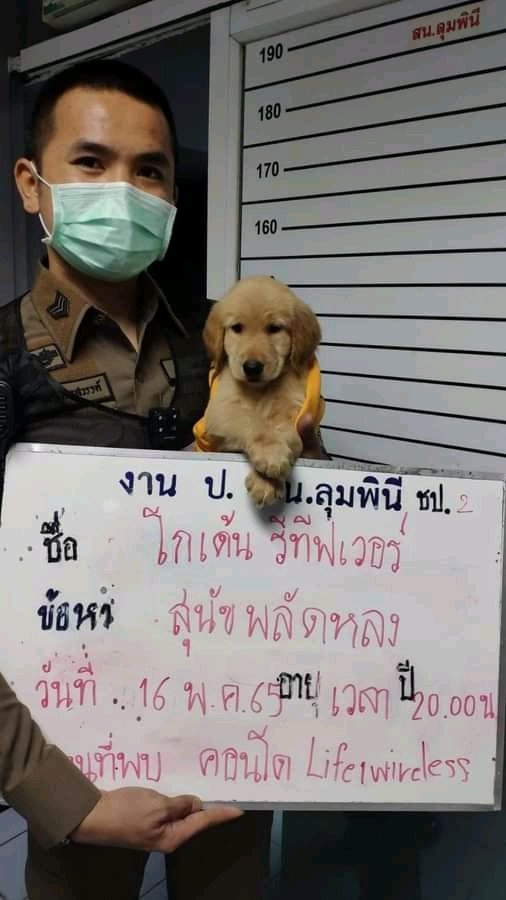 แอสทริด เหลียง (@crazyrichth) on Twitter photo 