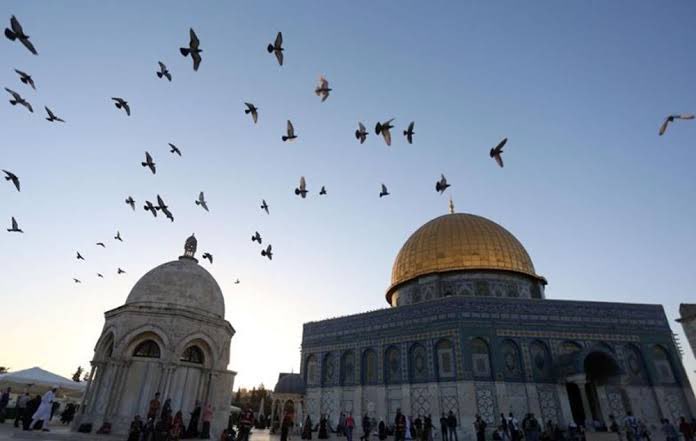 Sakın, Allah’ı zalimlerin yaptıklarından habersiz sanma! Allah, onları ancak gözlerin dehşetle bakakalacağı bir güne erteliyor.
İbrahim suresi 42.ayet
#FreePalestine
