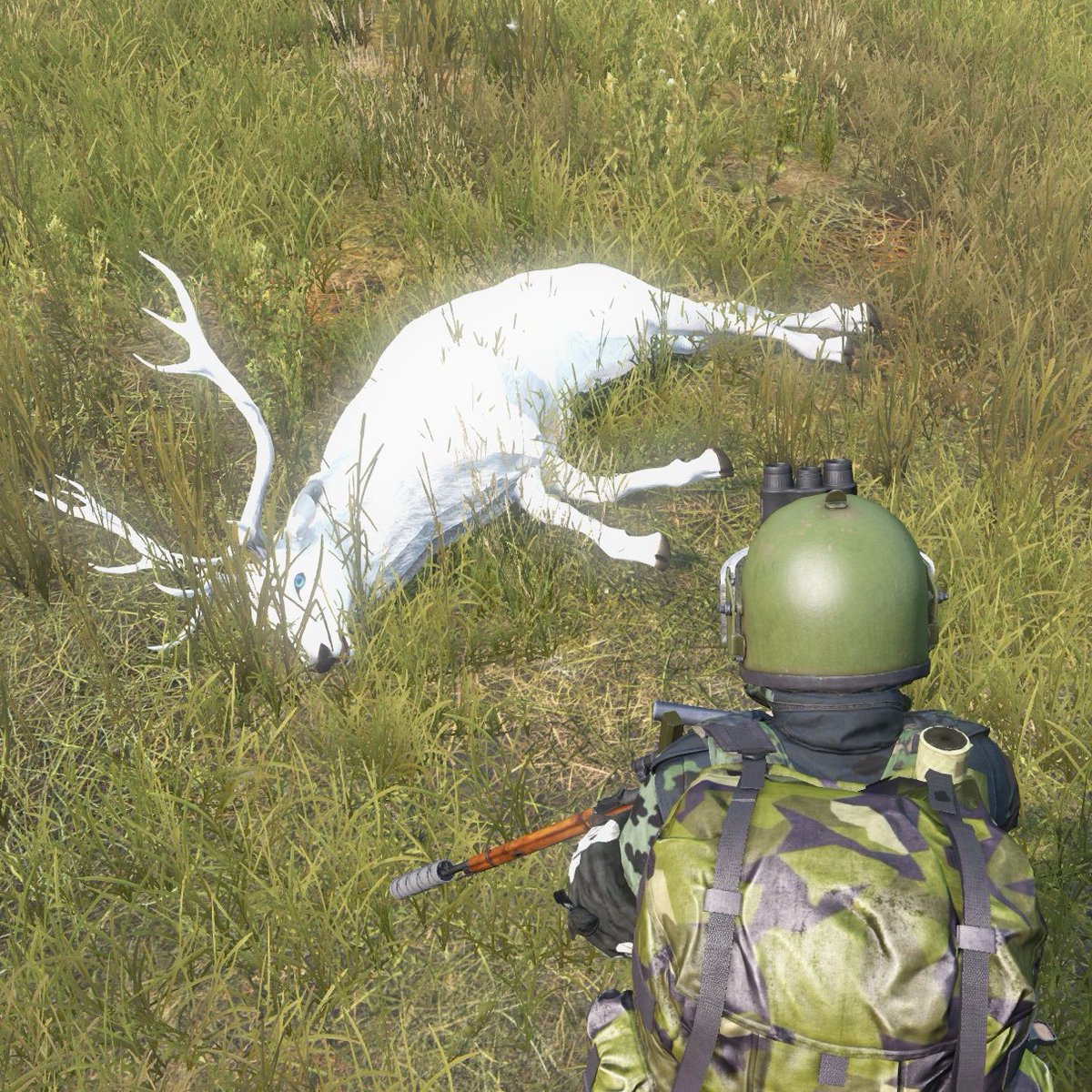 domesday86's tweet photo. Den weißen Hirsch erwischt. 😎 #DayZ https://t.co/0AOnihu9ix