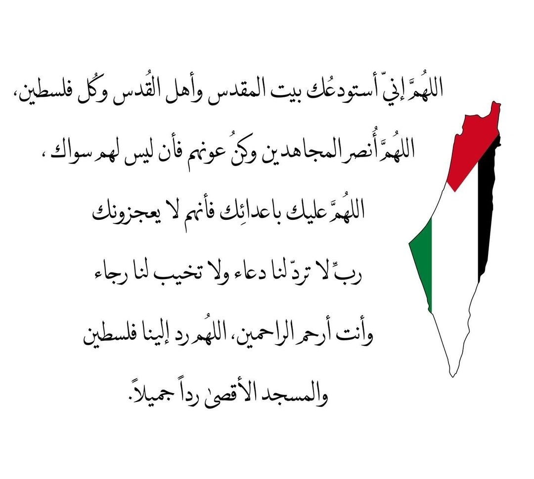 mohmdReda42's tweet photo. https://t.co/LPuc296Bp6
