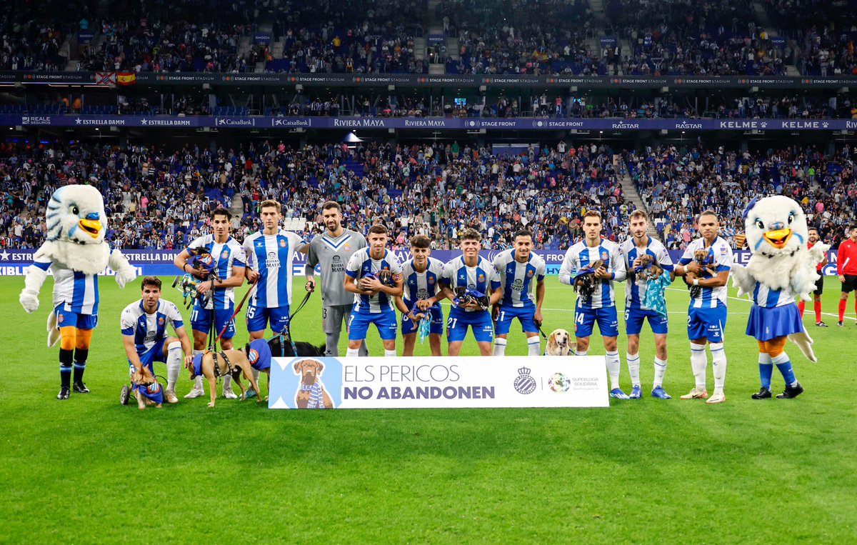 RCDEspanyol's tweet image. 📣 ¡Pericos! Tenemos que encontrales un hogar a estos peludos 🐶

🧵 ¡Vamos con un hilo para que los conozcáis mejor y con toda la información para su adopción!