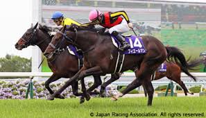 BBDNewss's tweet photo. リバティアイランドが牝馬3冠　史上7頭目、競馬の秋華賞

#リバティアイランド #川田将雅 #秋華賞 #牝馬三冠 #京都競馬場 https://t.co/fK0ZbRV5Yo