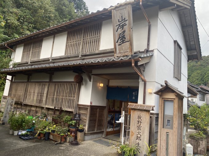 今日は佐川まで行ってました。司牡丹の工場があって、とても良い香りがしたので綾さんが好きなにおい…と思いながら街を歩き、金峰神社まで階段を200段ほど登って参拝し、元気なバイカオウレンを確認。200段なんてへっちゃらさ!と思っていましたがめちゃくちゃ疲れた笑