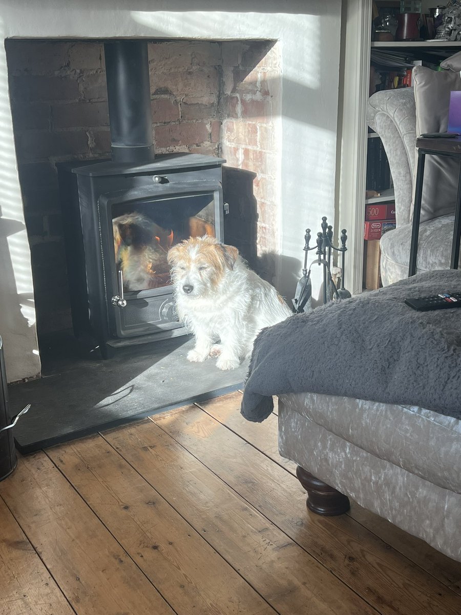 hinesrem27's tweet photo. Love is sunshine and a lit fire 💛 https://t.co/qr6roOFse7