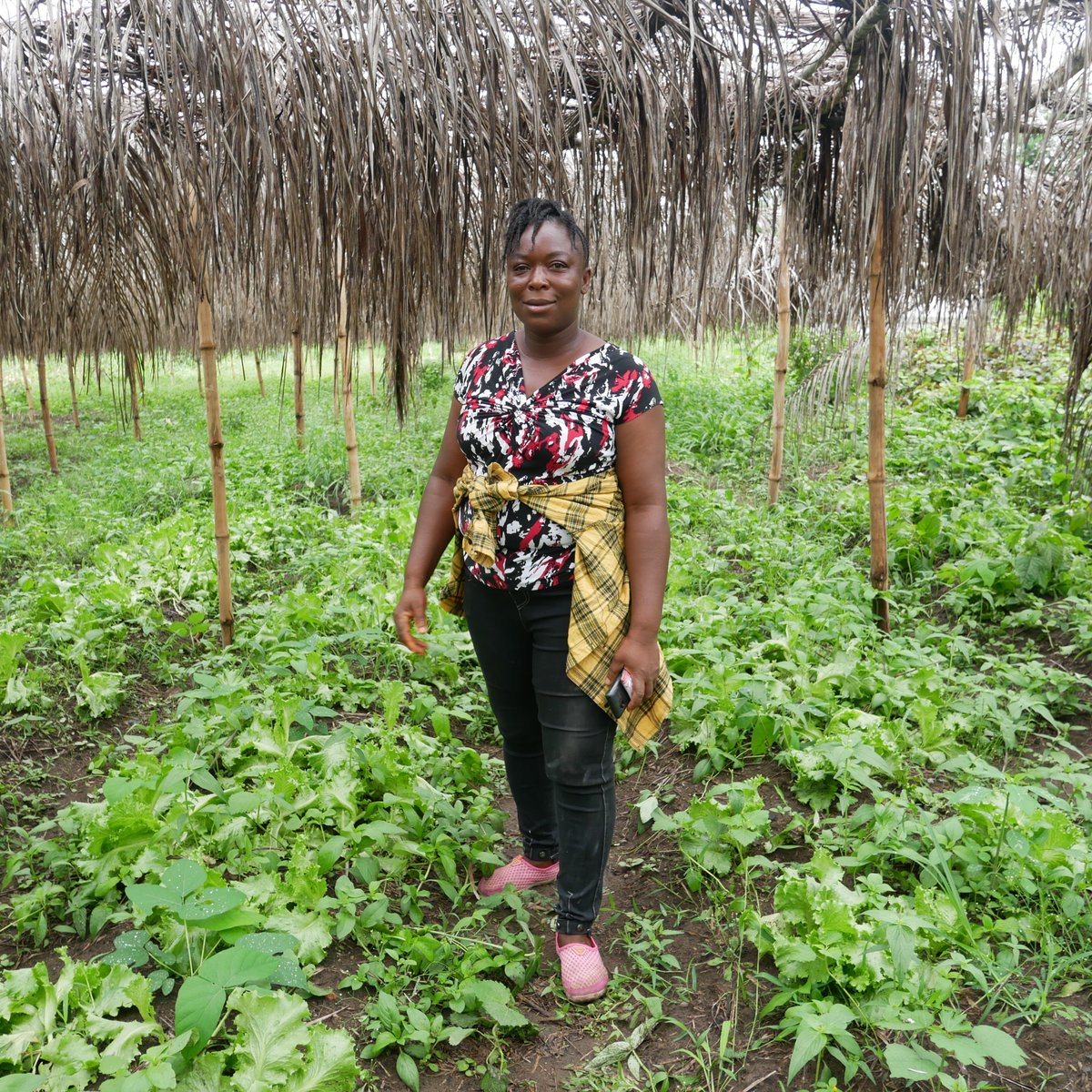 🌾International Day of #RuralWomen reminds us of the incredible contributions of women and girls in rural communities worldwide.

<a href="/FAO/">Food and Agriculture Organization</a> is committed to empower and support their vital roles in Liberia 🇱🇷 and across the world.

#InternationalDayofRuralWomen #LetsGrowEquality