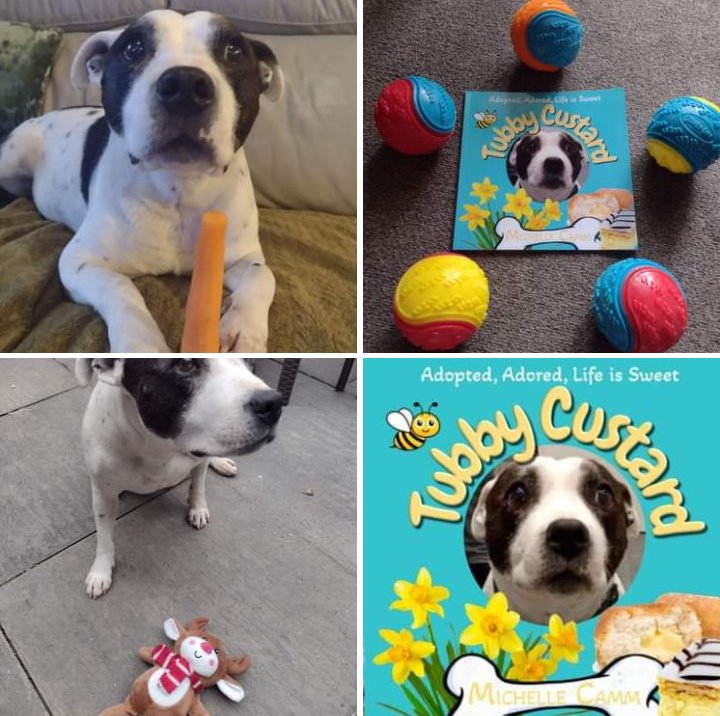 Dis is my very own book: I'm a rescue staffy. I released dis book to share my rescue story. I discovered true love again after my mum went to heaven. I also wanted to thank SSC. #adoption #Rescues #rehoming @SeniorStaffy #staffy #staffies seniorstaffyclub.co.uk