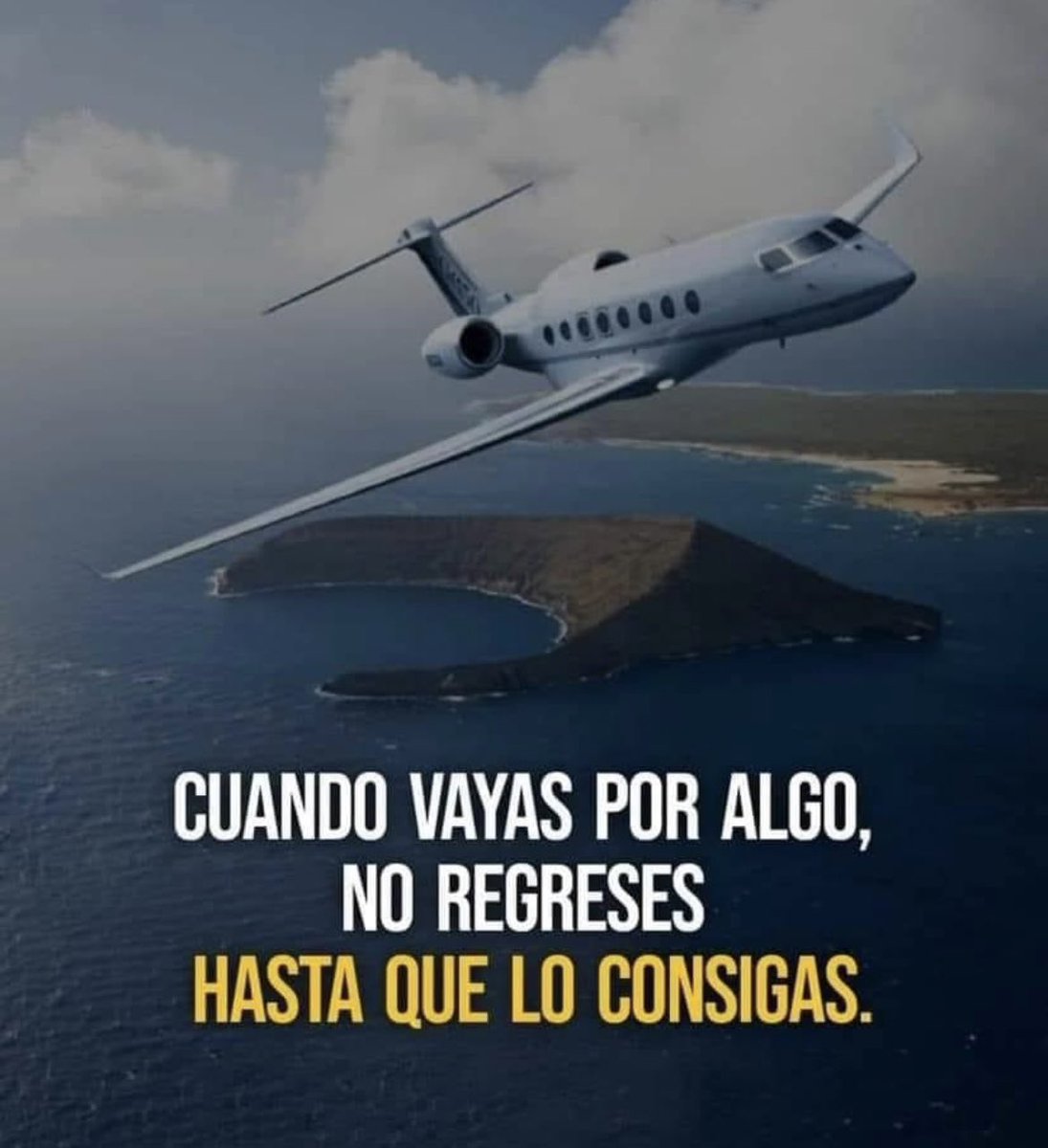 ChonDelFuturo's tweet photo. https://t.co/N5IzvqCD8N