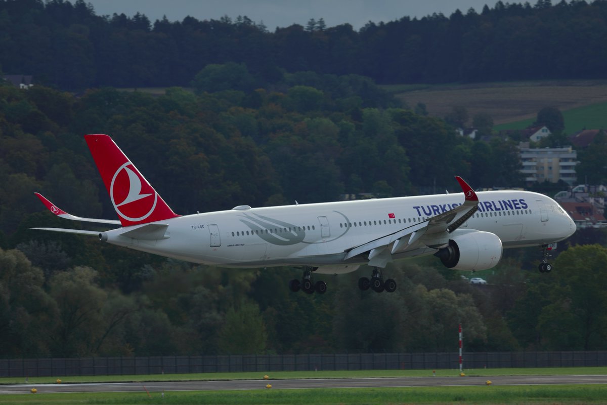 ogspotting's tweet photo. @ogspotting #zrhmovements #lszh #zrh #zrhfanphoto #airbus
TC-LGC Turkish Airlines Airbus A350-900
MSN 435
Delivered 01/2021 
Landing Runway 14 Zurich-Airport
15/10/2023 https://t.co/mT2RCwXvGu