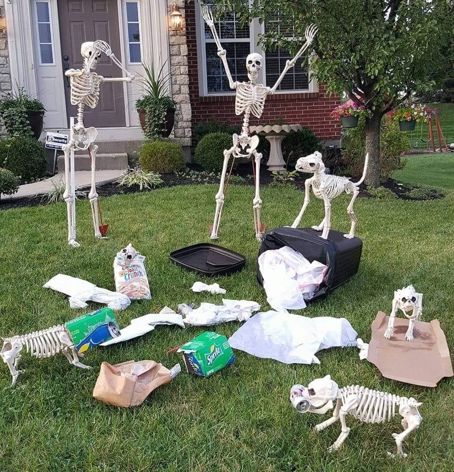 ComedyBaseUK's tweet photo. ✨JOKE OF THE DAY✨
What’s your Halloween decorations like this year?
We’re considering locally sourced, organic skeletons again #recycle #greenliving
#jokeoftheday #jotd #spooktobre2023 #comedybase #meme #dadjoke #badjoke #comediansoftwitter #monstermash https://t.co/MOU0IISwD4