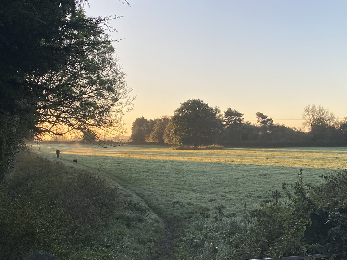 Matthew Hocking tweet media