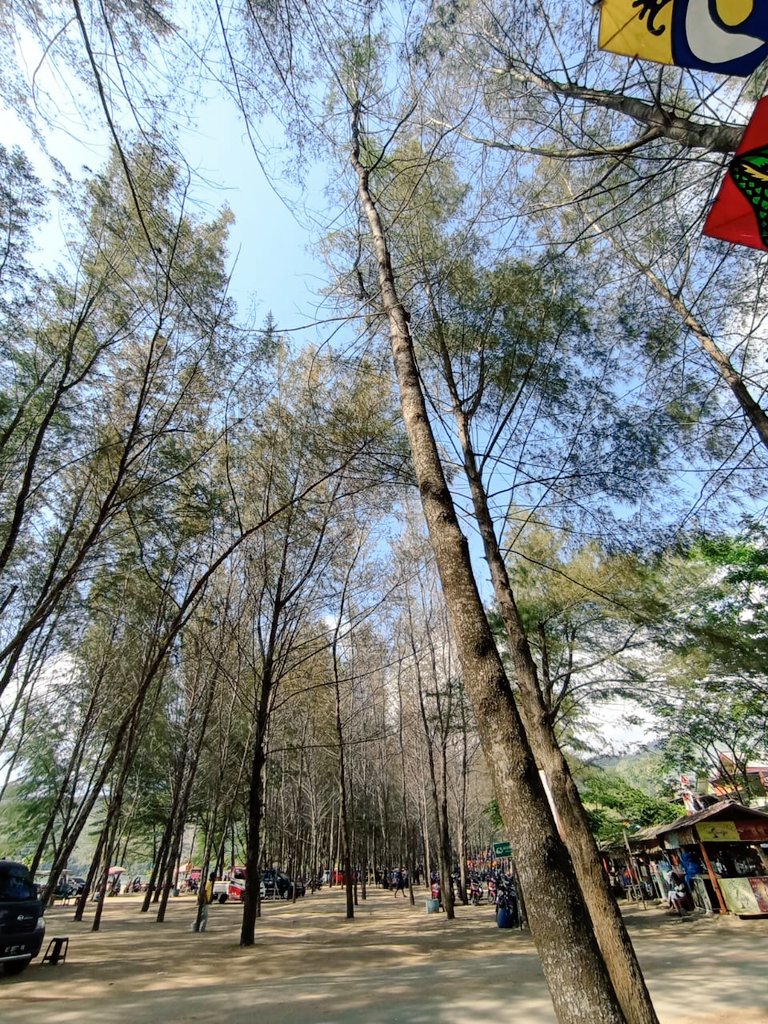 Moccacinorigin's tweet photo. قناعة ثم ابتسامة
لا تحتاج الحياة أكثر من ذلك

“Menerimalah, lalu tersenyumlah
Hidup tidak butuh lebih dari itu.” https://t.co/xIWQF1boBQ