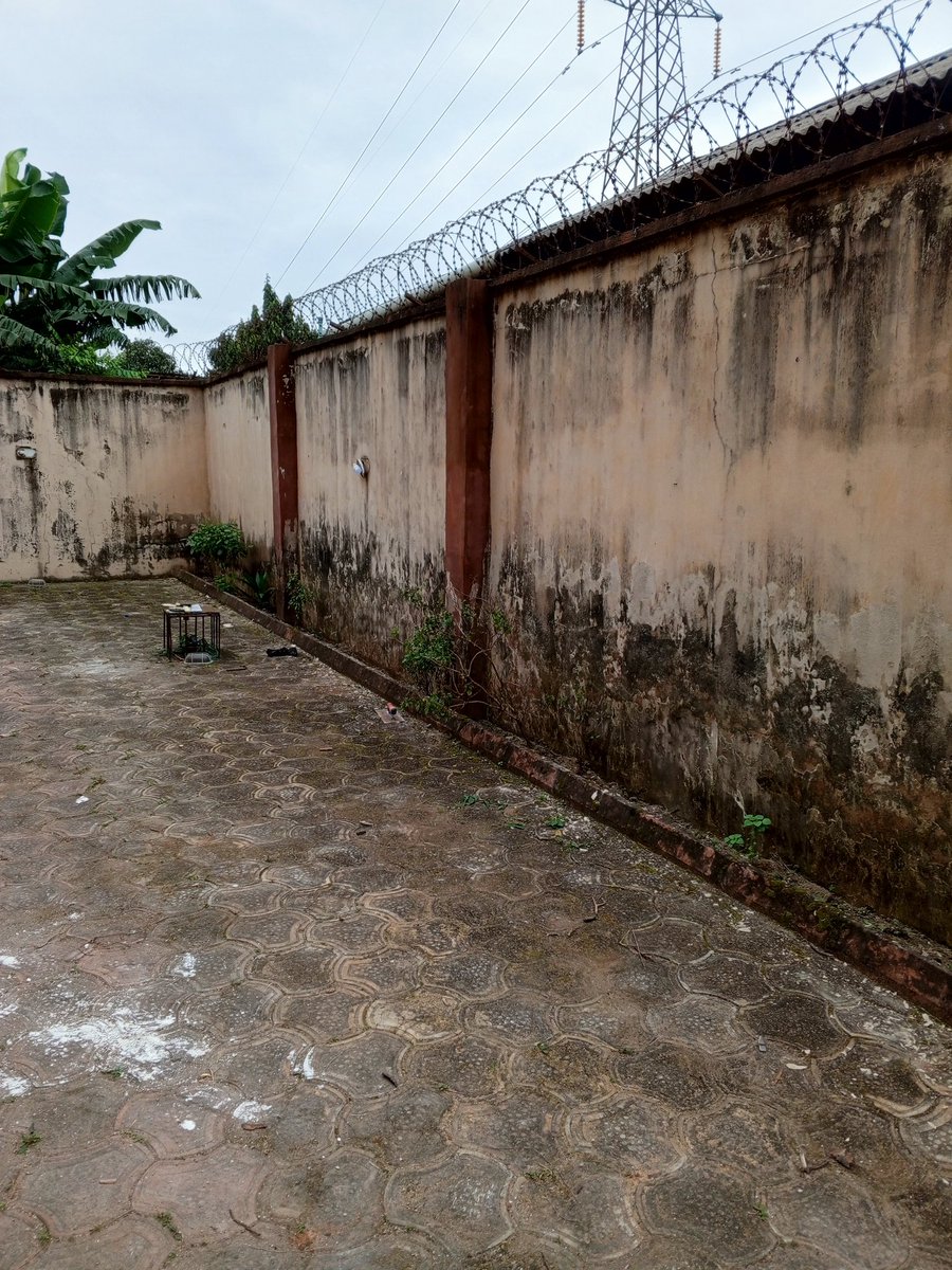 OfficialMudiah's tweet photo. Cement screeding https://t.co/IQCsnKgrrn