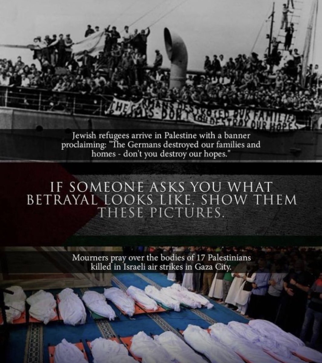 OwenBenjamin's tweet photo. They pretend the Arabs are “rats” and “animals,” but they prayed on Palestinian sympathy when they came from Europe after WWII and were welcome with open arms and the famous hospitality of palestine. The Middle East looked nothing like it does today be for the chosen set up their “country.” It was peaceful and beautiful. And now in an ironic twist, the offspring of these refugees will hunt down and murder those who welcomed them in a genocidal rage. After having their lands stripped from them, they are currently living in an open air concentration camp in Gaza that the Israelis are now bombing.
